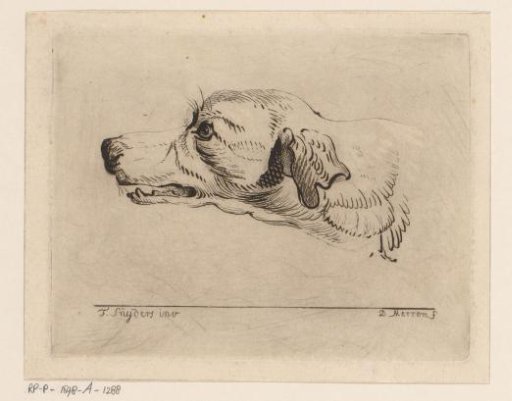Head of a dog