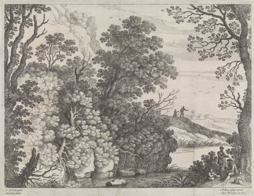 Forest landscape