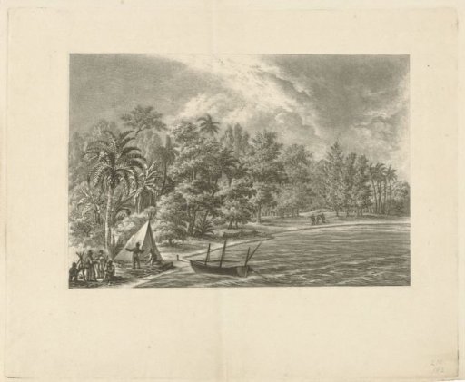 Tropical landscape