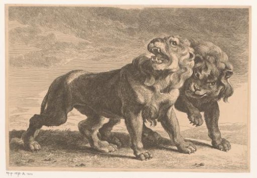 Two Lions