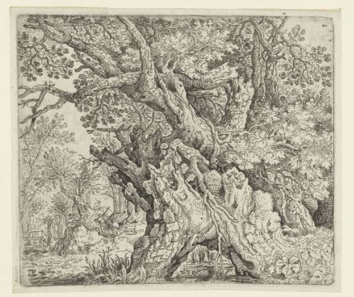 Gnarled Trees near the Water