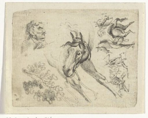 Study sheet with horses, a man and a branch