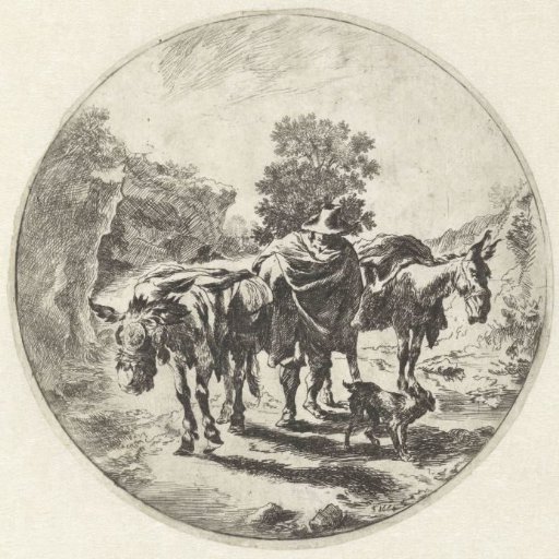 Man with donkeys