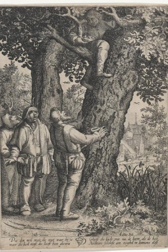 Bird's Nest Robber