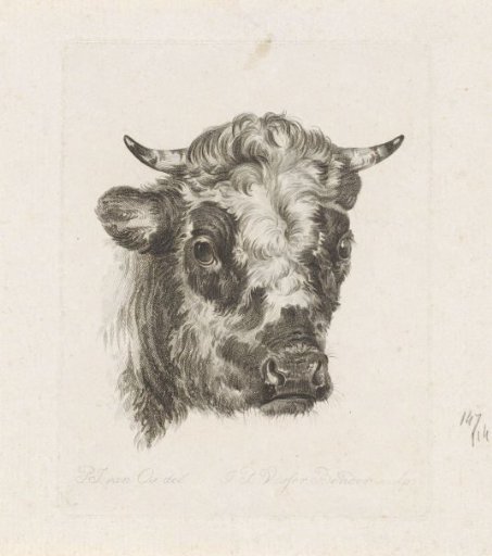 Bull's Head