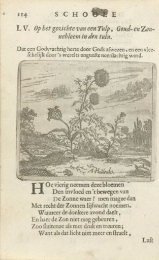 Flowers in a Landscape