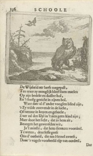 Owl in a Vast Landscape