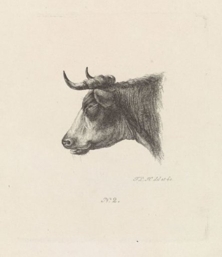 Head of a Cow