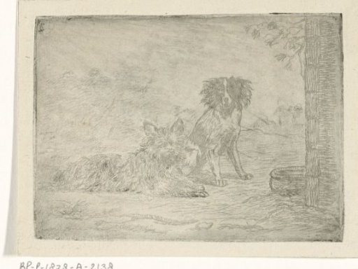 Two dogs