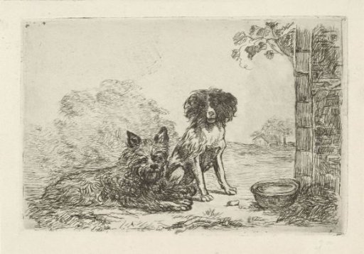 Two dogs