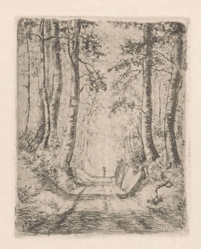 Forest along a hollow road