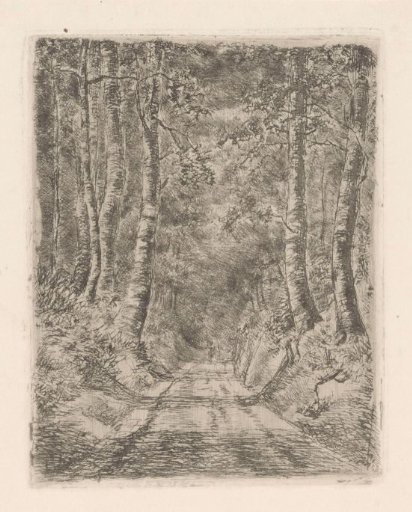 Forest along a hollow road