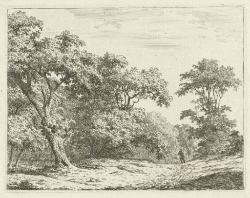 Landscape with trees and a man on the road