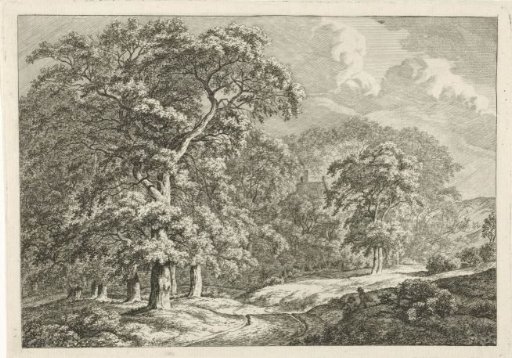Landscape with tall trees