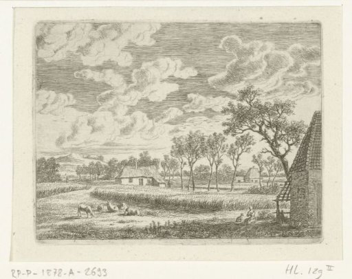 Landscape with a cornfield and pasture with sheep