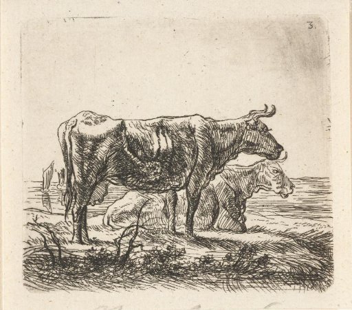 Two Cows by a Pool with Boats