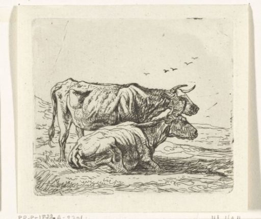 Two Cows