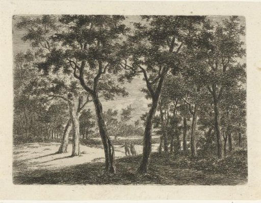 Forest landscape with two children
