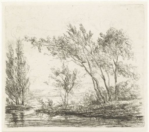 Landscape with trees by water