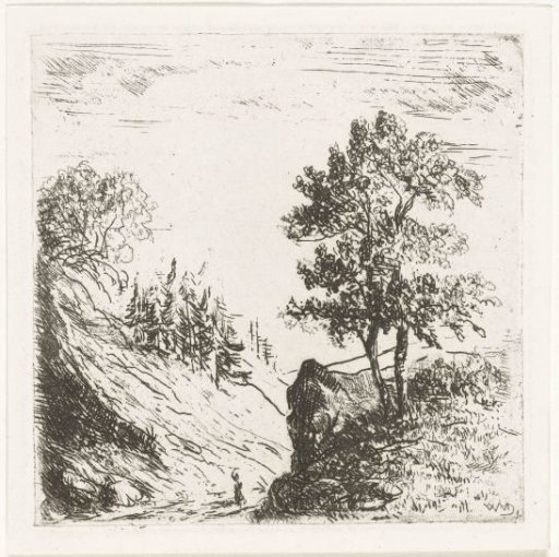 Hilly landscape with two trees on rock
