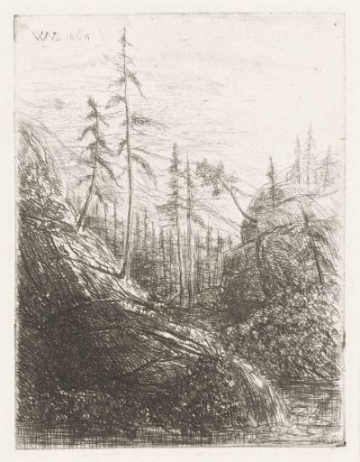 Mountain landscape with coniferous trees and stream
