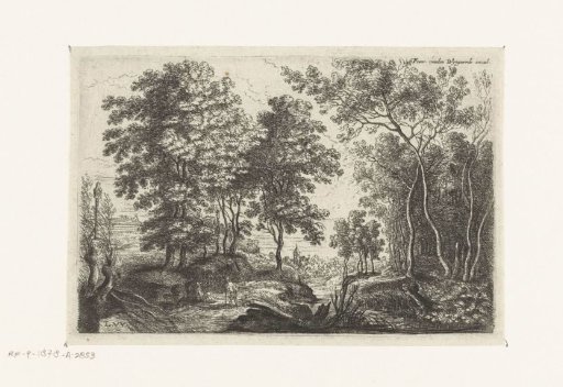 Landscape with a brook through a forest