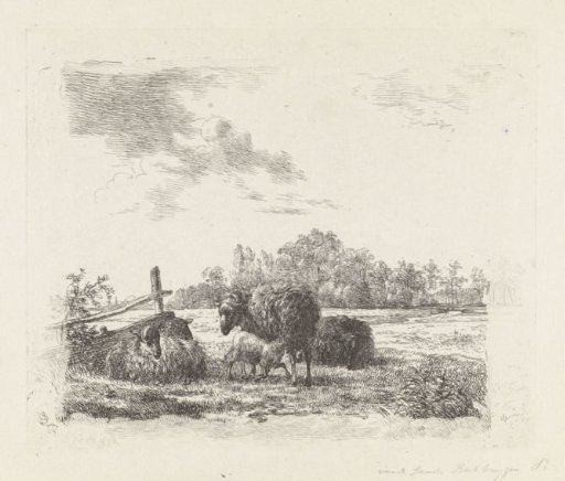 Meadow with sheep