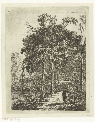View in the Hague Forest