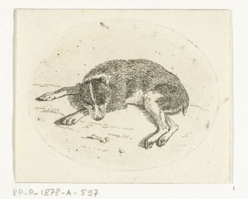 Lying dog