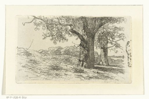 Landscape with two trees on grassland