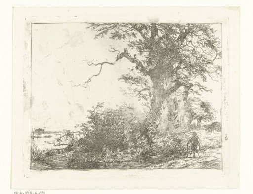 Landscape with oak trees and a man by the water