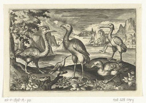 Five birds including spoonbill