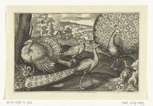 Five birds including spoonbill
