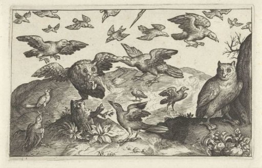 Owl with prey attacked by other birds