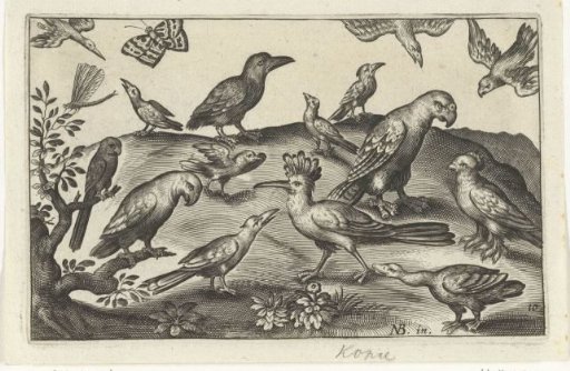 Bittern and other birds