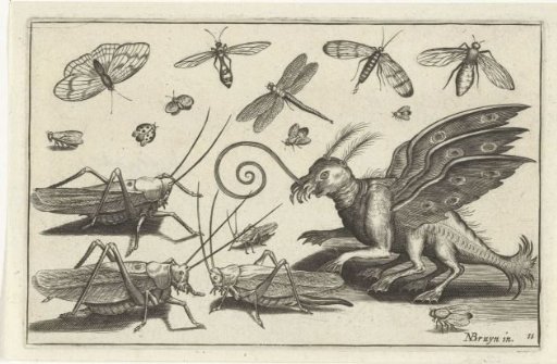 Grasshoppers and fantasy creatures with wings and webbed feet