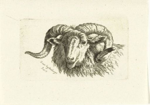 Head of a ram