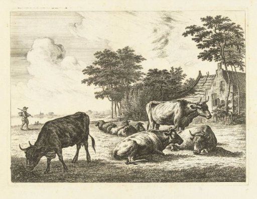 Cows and sheep lying in meadow in front of farm