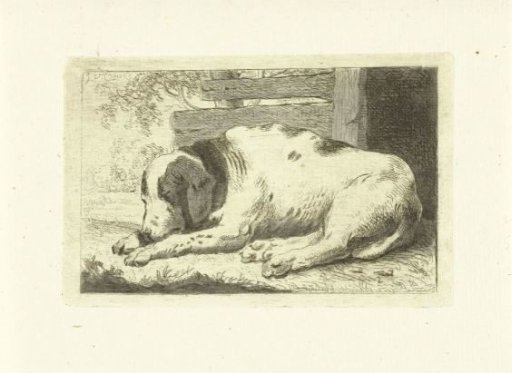 Sleeping dog