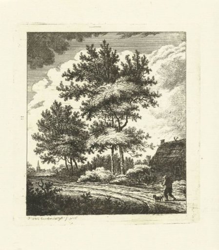 Landscape with country road