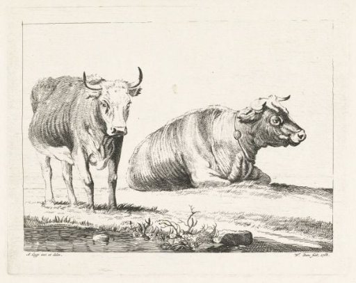 Standing and lying cow