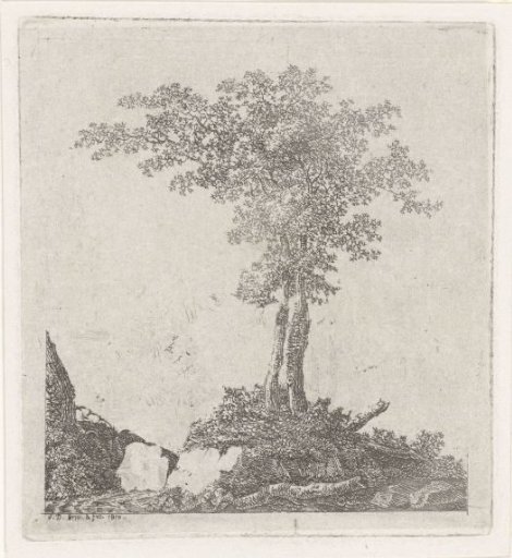 Two trees
