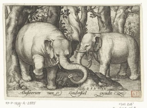 Two Elephants