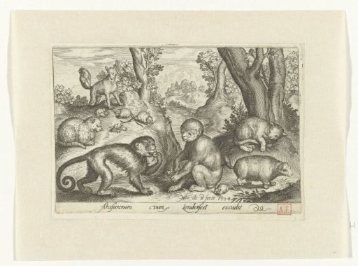 Monkeys, cats and mice