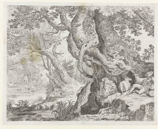 Sleeping Shepherd Near A Large Tree