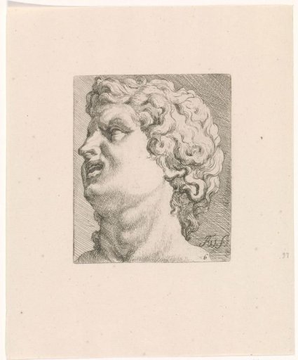 Head of one of the sons of Laocoön, side view