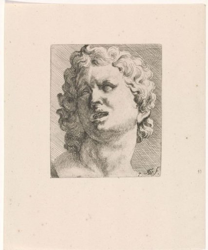 Head of one of the sons of Laocoön, front view