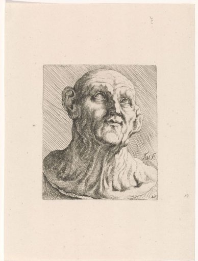 Head of a bald man