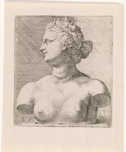 Bust of Venus de' Medici, in profile to the left