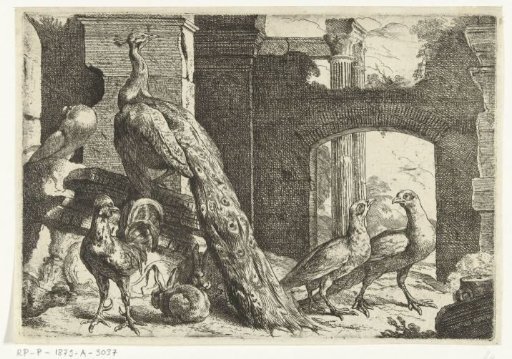 Peacock and other animals